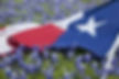 imageye___-_imgi_7_bluebonnets-DpCMcWeB.jpg