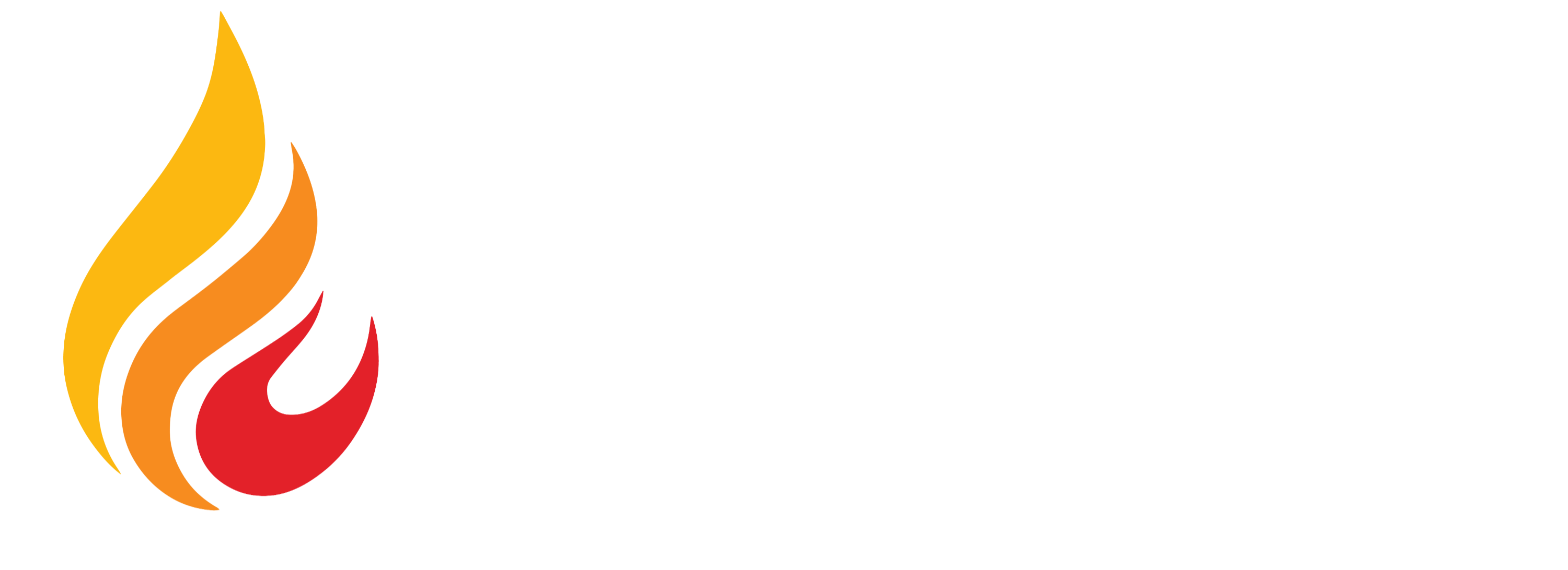Fire Guard Services-Main Logo Options-01 (2)--_edited.png