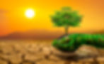 tree-two-hands-with-very-different-environments-earth-day-world-environment-day-global-war