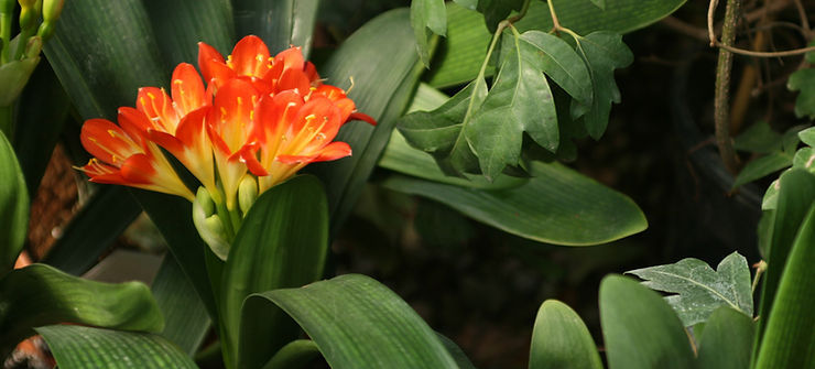 Spring: the season of new beginnings