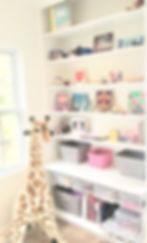 Playroom Organization