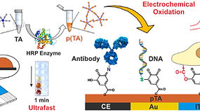 
[80] Biosensors and Bioelectronics, 127, 15, 50-56, (2019)