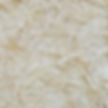 Vector-1.jpg