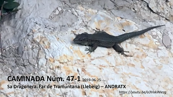 Caminada núm. 47.1.png