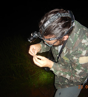 DSCN4743.jpg