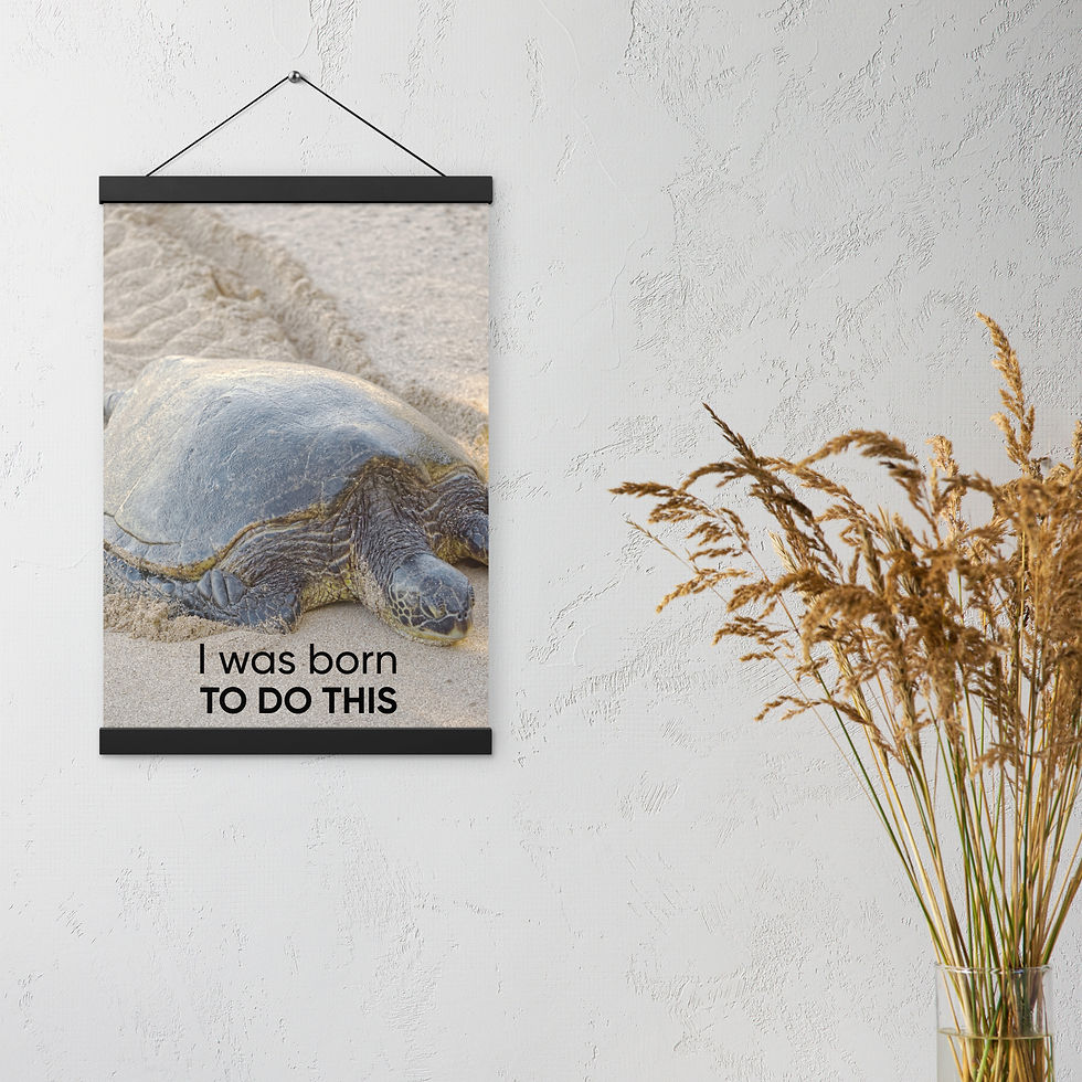 Thumbnail: "Slow & Steady" - Poster with hangers