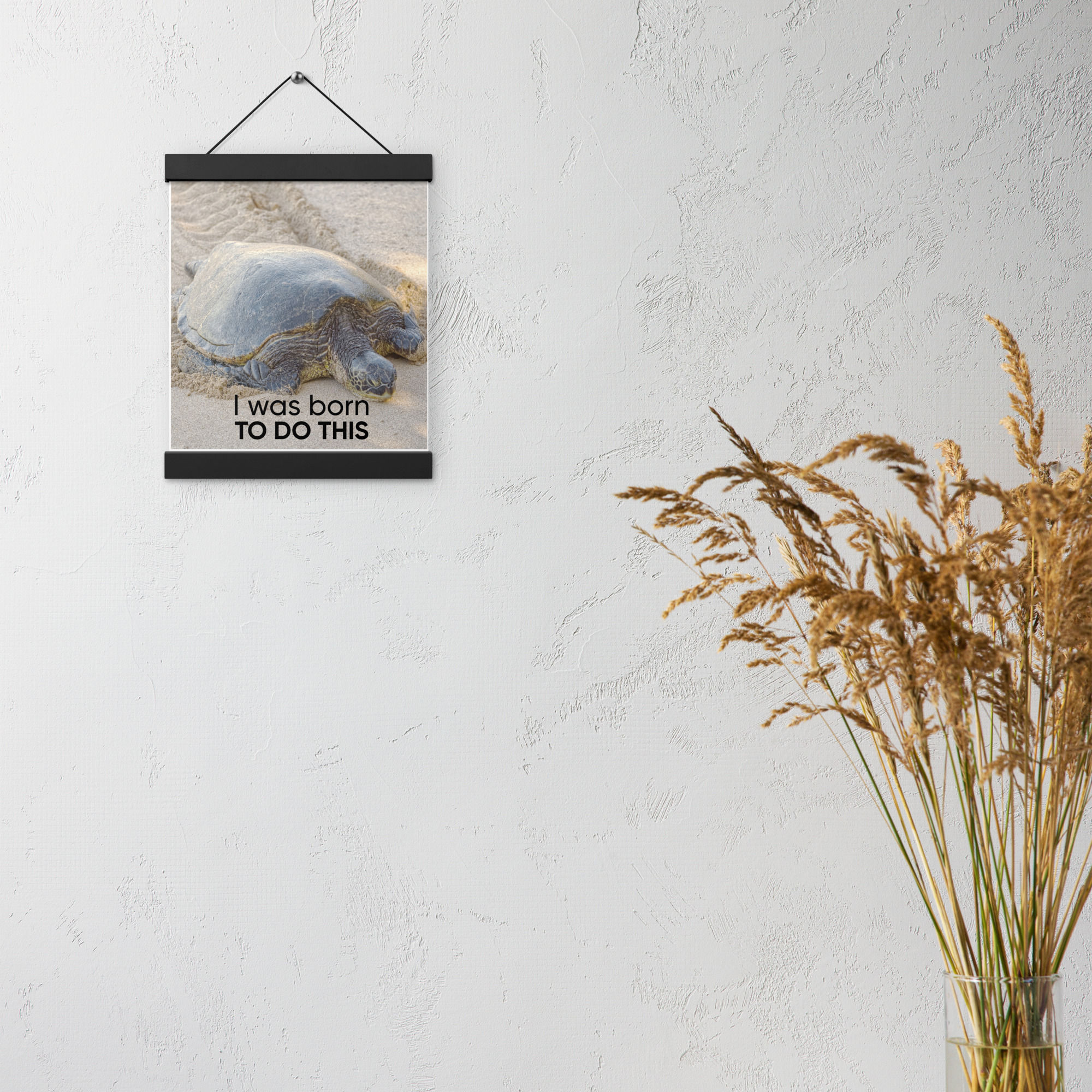 "Slow & Steady" - Poster with hangers