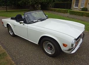 71Tr6 white (17).JPG