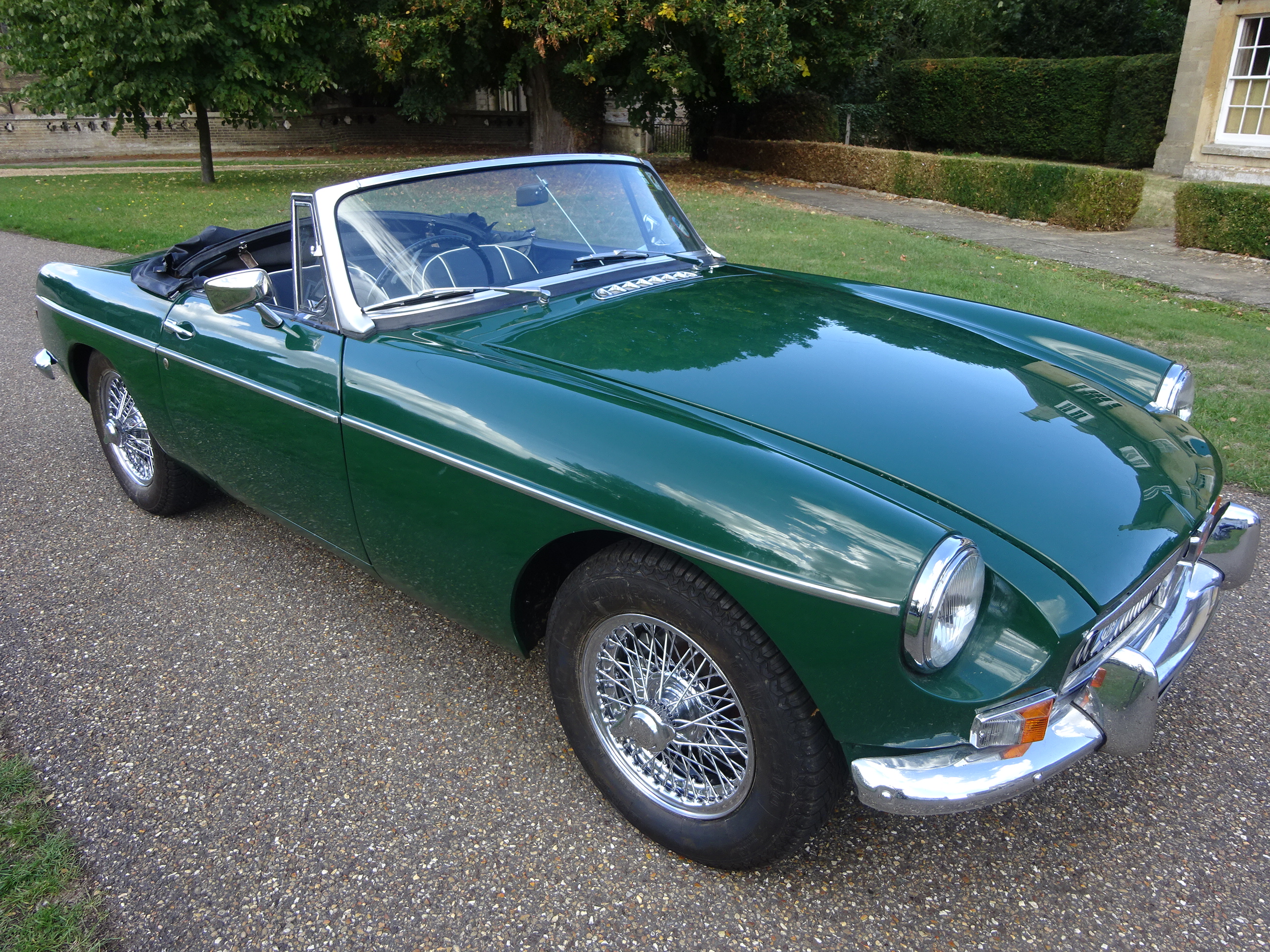 Image Placeholders2_edited.jpg