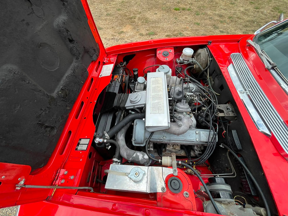 Stag Auto Red (16)