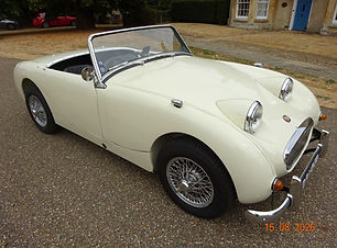 Frogeye White (11).JPG