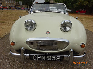 Frogeye White (12).JPG