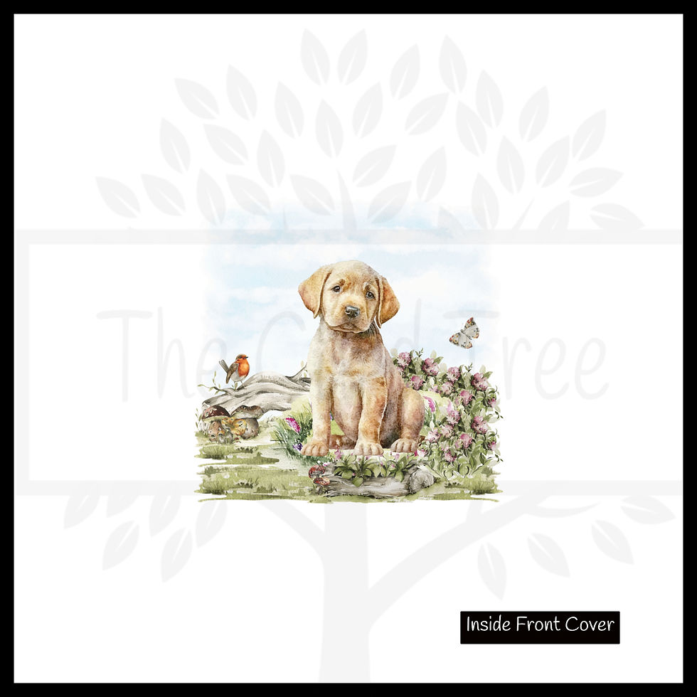 Thumbnail: Labrador in Grass