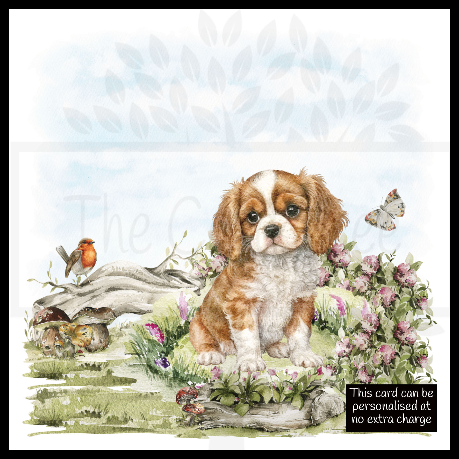 King Charles Spaniel in Grass