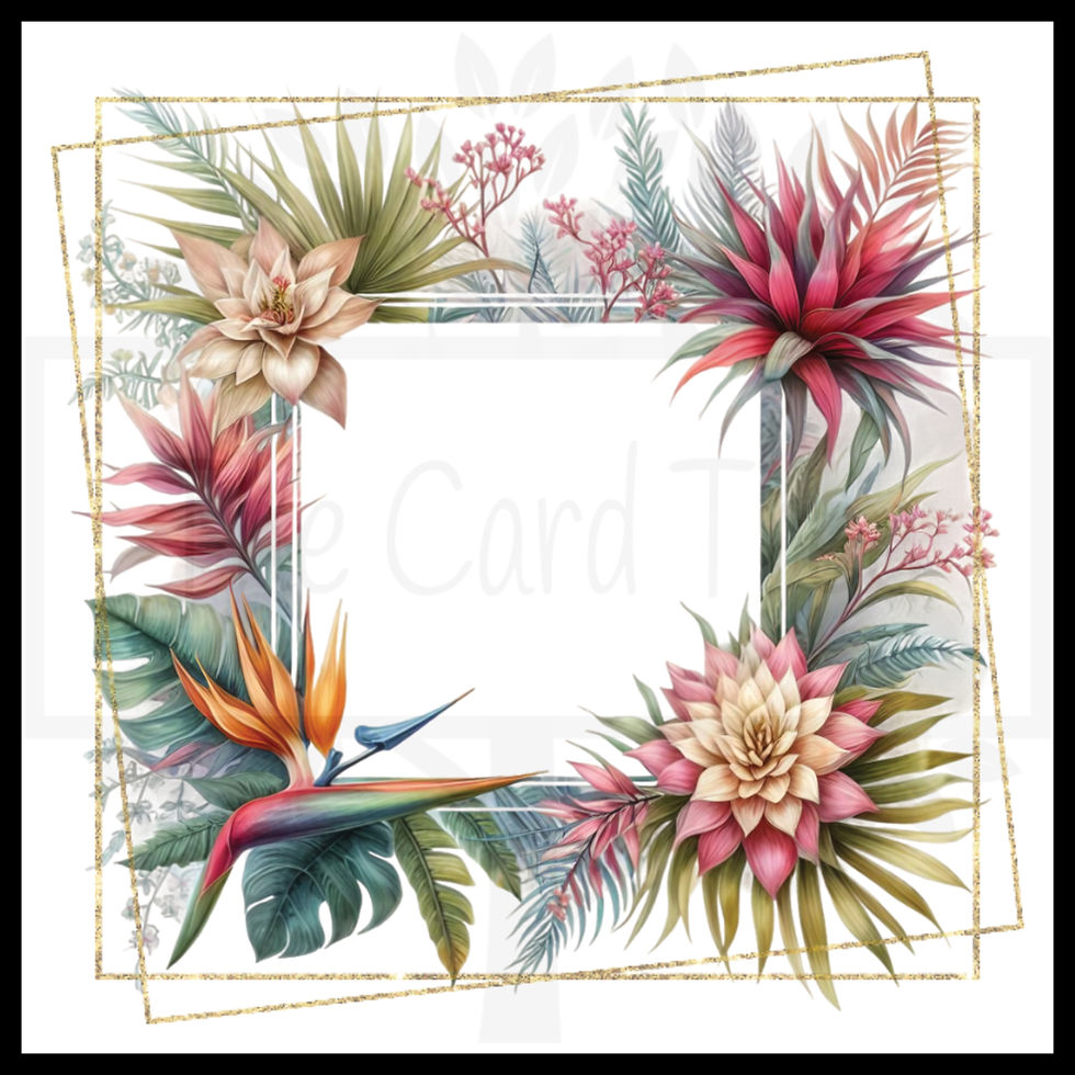 Thumbnail: Tropical Frame