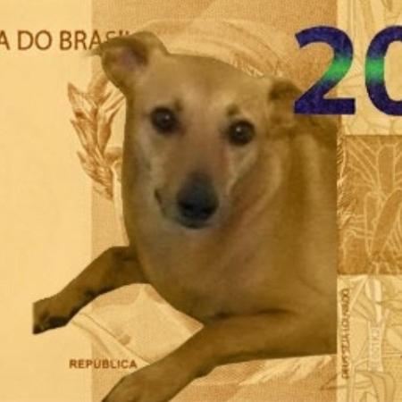 Foto do escritor: Henrique de Paula Rodrigues