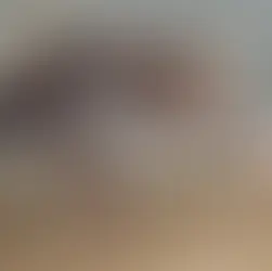 Debaixo da Pele: Como a anatomia nos une a outros Animais