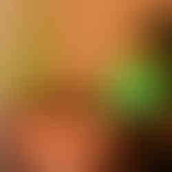 A treatment room at Whinstone View