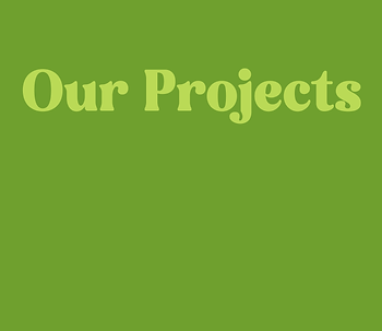 Our projects image