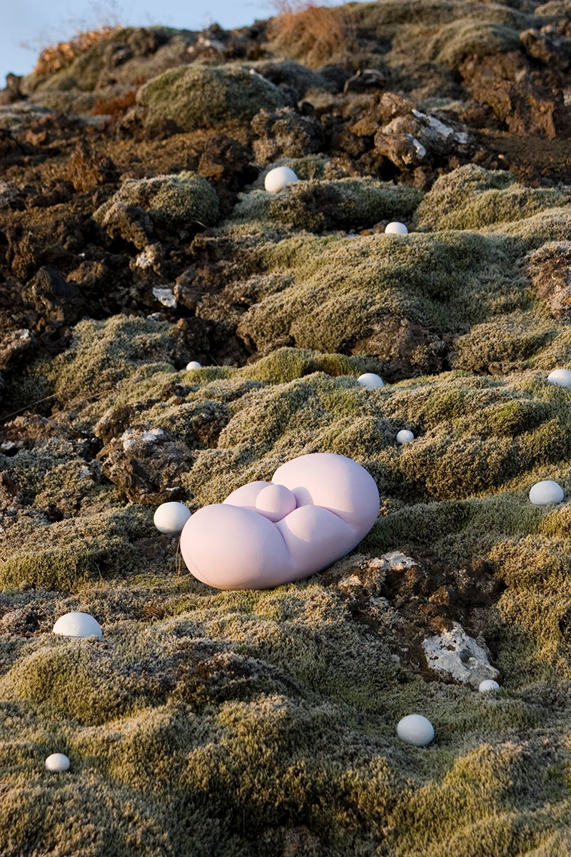 Icelandic Garden 2