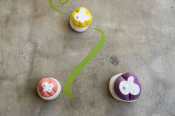 Baby plants 1, 2 & 3