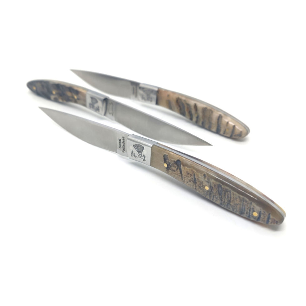 Coltelli da tavola a lama fissa