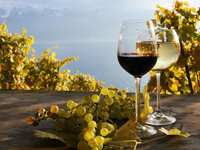 Vin Rouge ou Blanc ? Découvrez lequel est le meilleur pour votre santé et les meilleurs accords sardes.