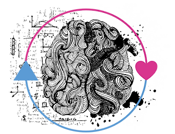 Brain Sides Color.png