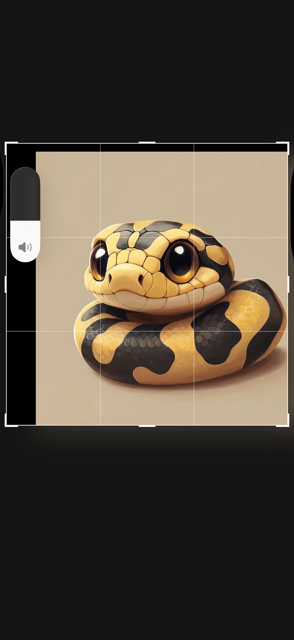 Coexisting with Snakes