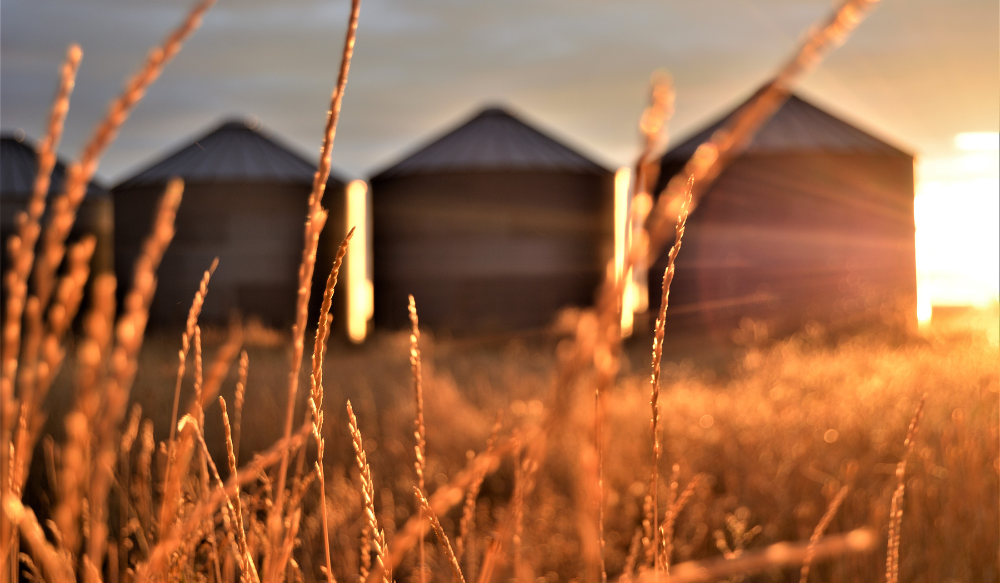 Workplace Silos signs