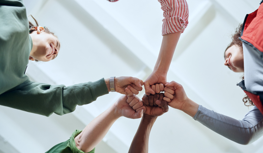 Collaborating Across Cultures - Talaera