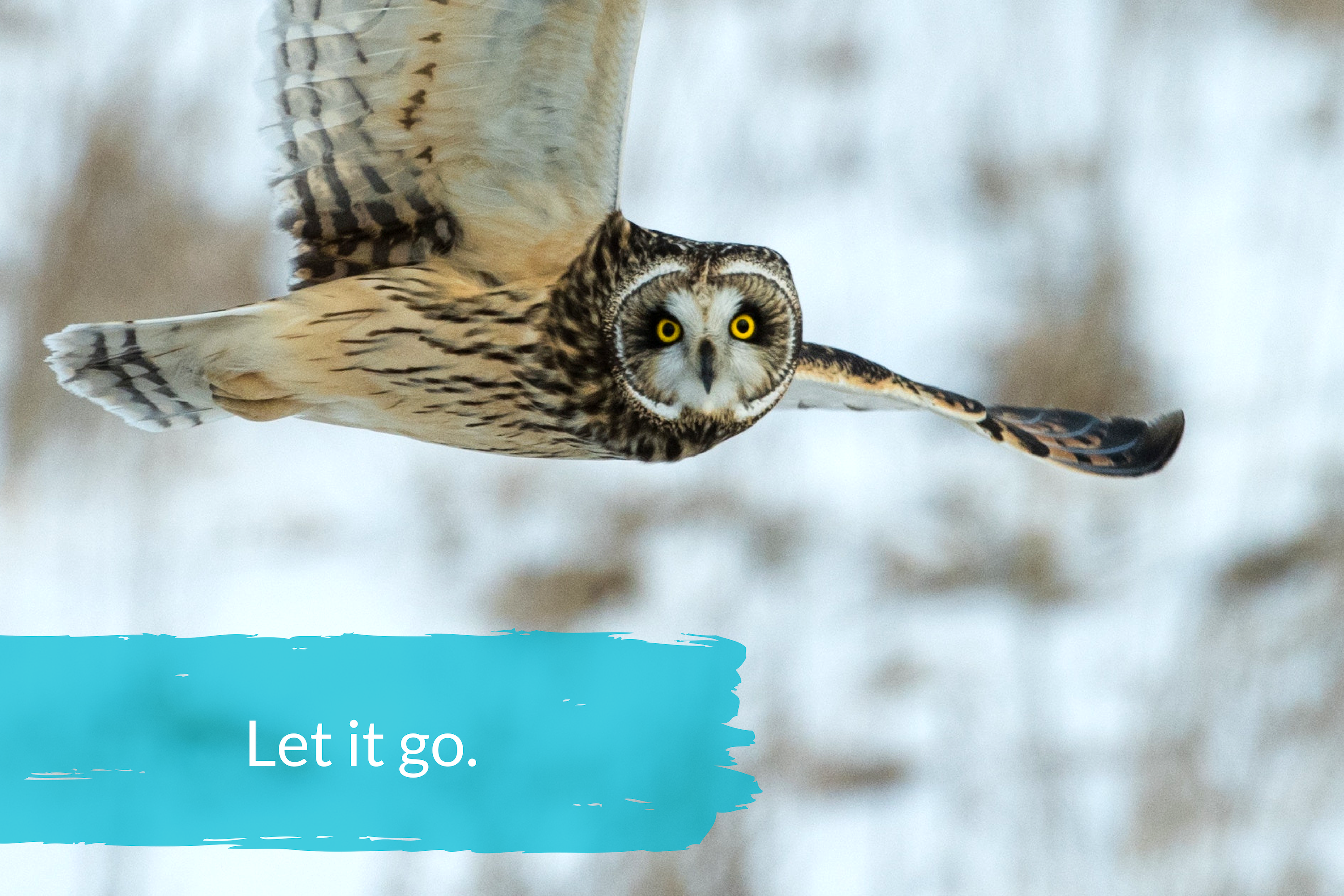 9 Conversation Skills