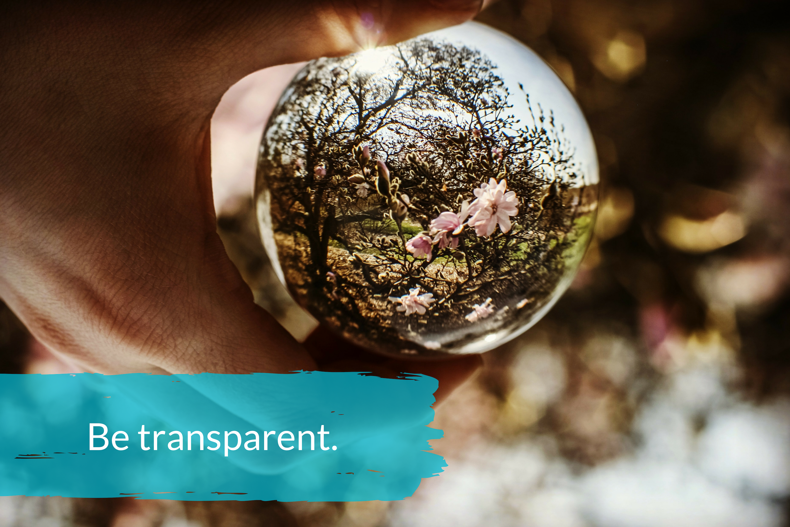 7 Conversation Skills