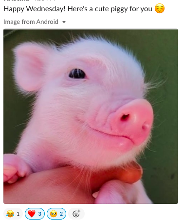 Screen Shot 2021-09-23 at 12.30.21