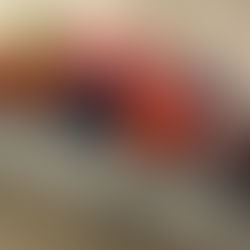 Die Musikgesellschaft Schafisheim-Hunzenschwil ist nicht nur musikalisch aktiv