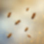Gold and blue background with bees flying around.jpg