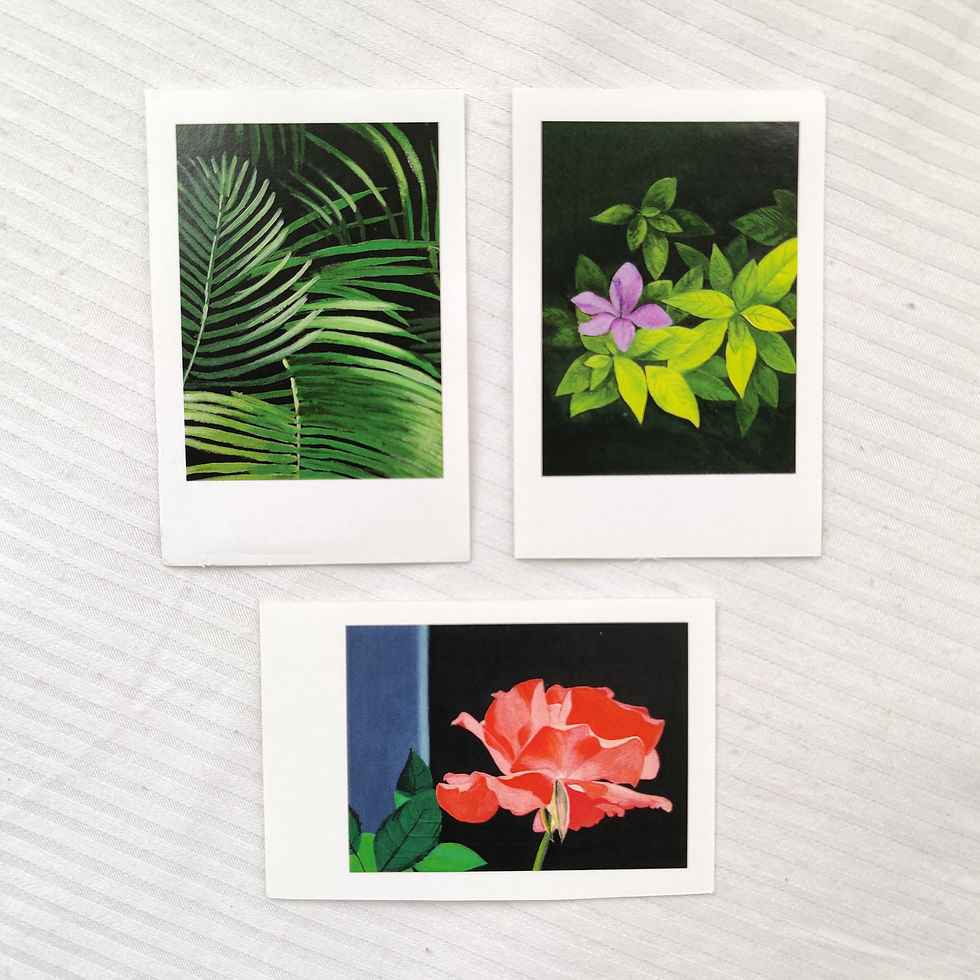Palm, Rose, Violets | Set of 3