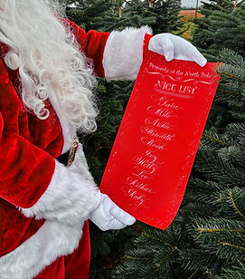 Santa's Grotto Cumbria