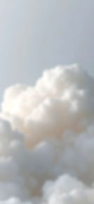IMG_4678.jpeg