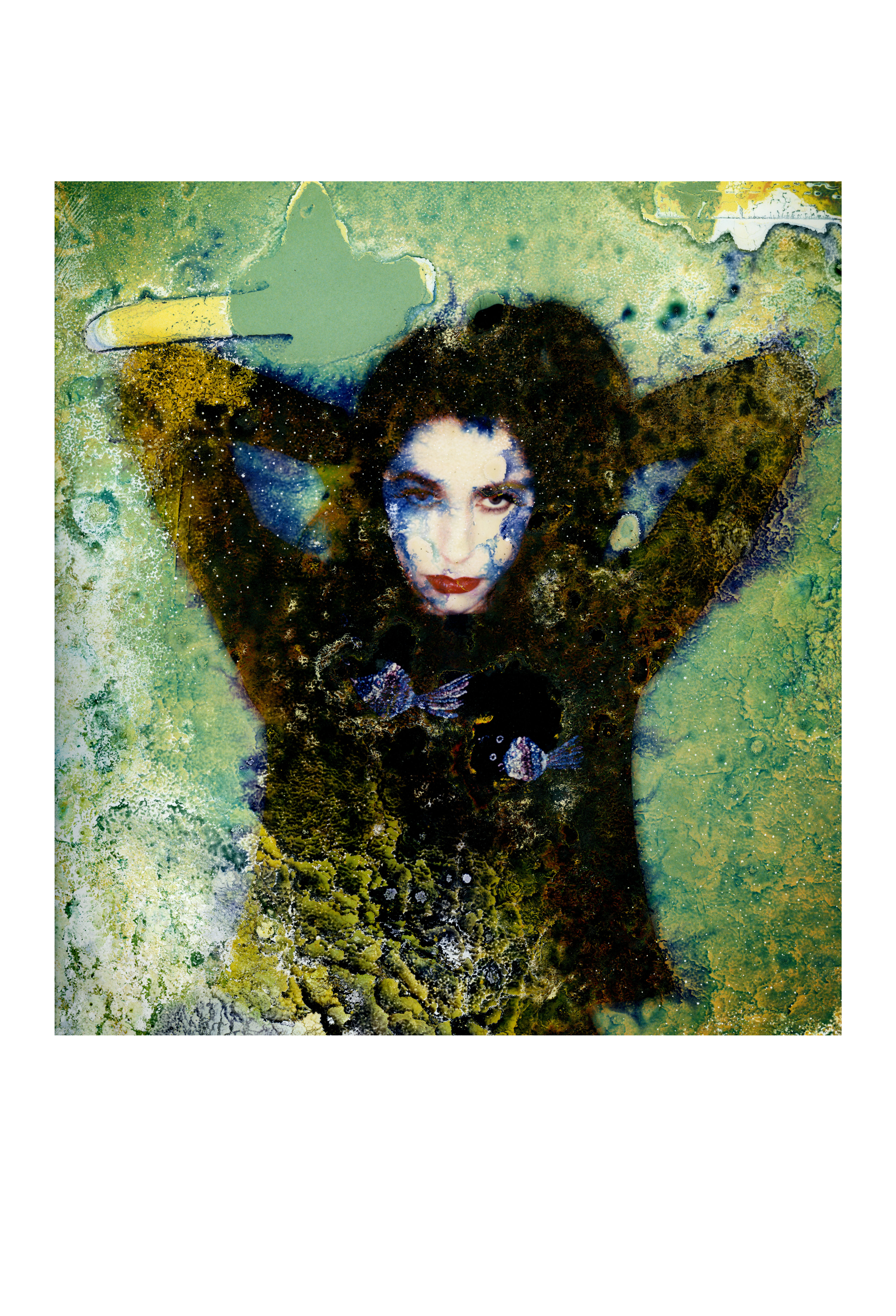 A3+, Signed, Edition Of 50, PJ Harvey Print