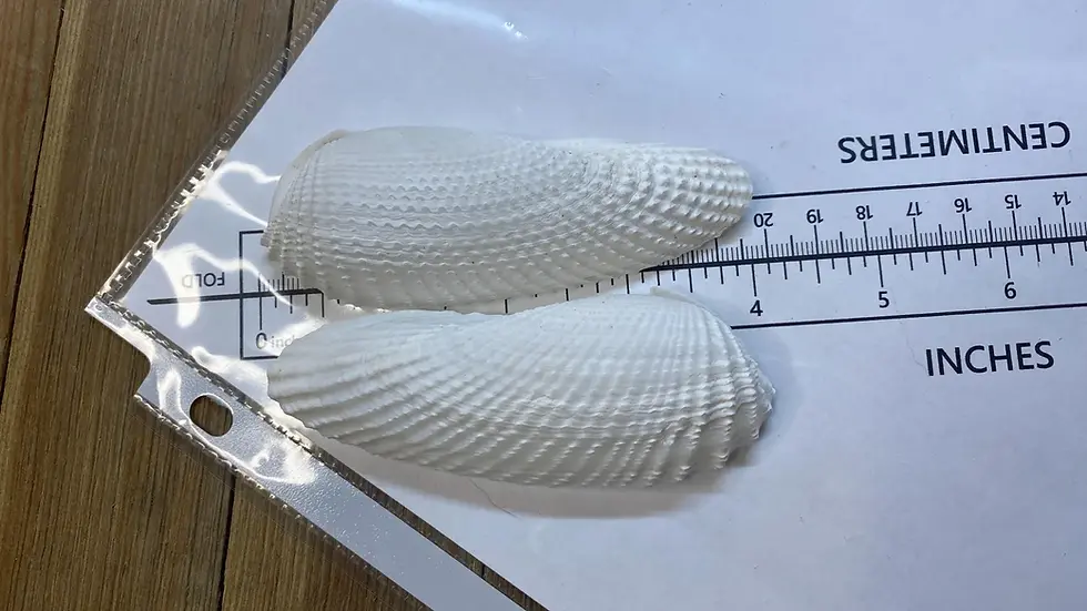 Thumbnail: 2 Pairs of 3"- 4" Angel Wings