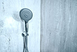 handshower-bathroom.jpg