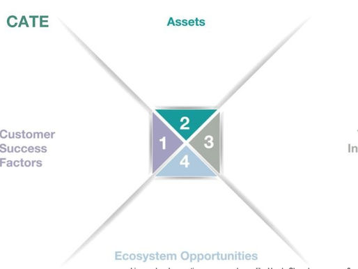 Ecosystems and the fallacy of agile transformation