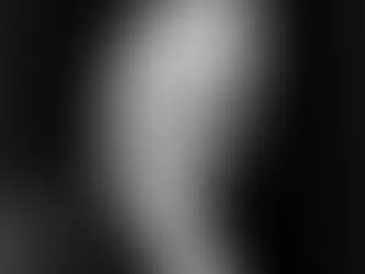 31st President of the United States of America Herbert Hoover (1929-1933)