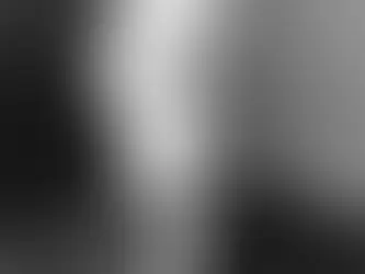 25th President of the United States of America William McKinley (1897-1901)