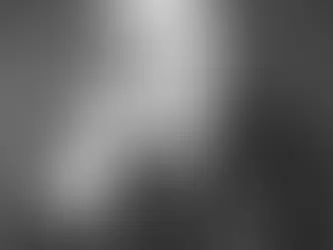 29th President of the United States of America Warren G. Harding (1921-1923)