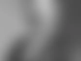 19th President of the United States of America Rutherford B. Hayes (1877-1881)