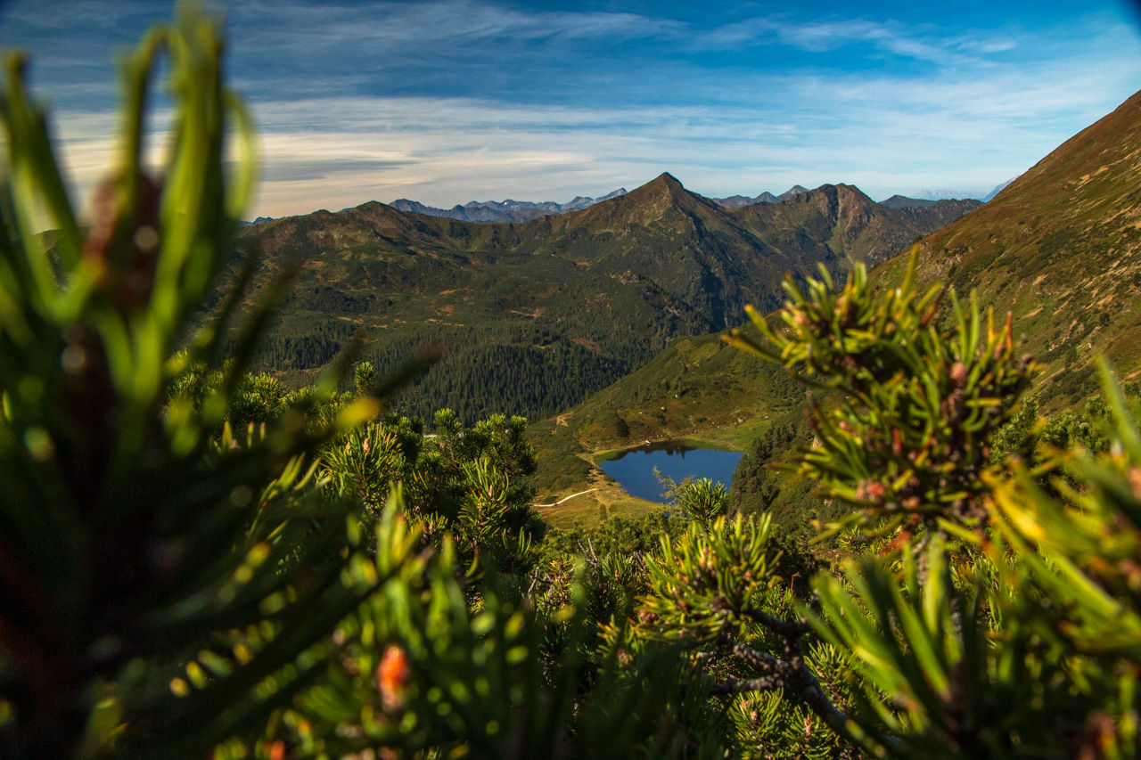 Zwischen den Latschen zum Plannersee