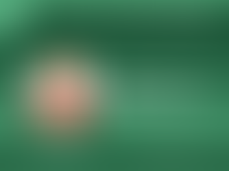 5 otázek pro ... Michaelu Weissovou