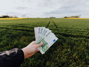 Udržitelné financování jako hnací síla pozitivních změn